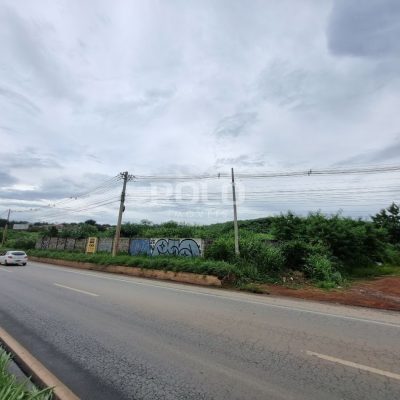 16cbce23-f729-4b1f-88cc-70a62218e08c.jpg
