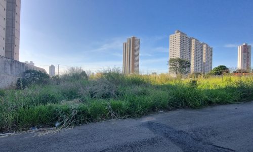 2a00ae65-775c-4bdb-91de-5deb3659df68.jpeg