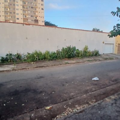 ca05488d-6aa3-49d2-805f-90bea31e6cec.jpeg