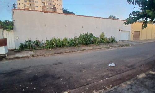 ca05488d-6aa3-49d2-805f-90bea31e6cec.jpeg