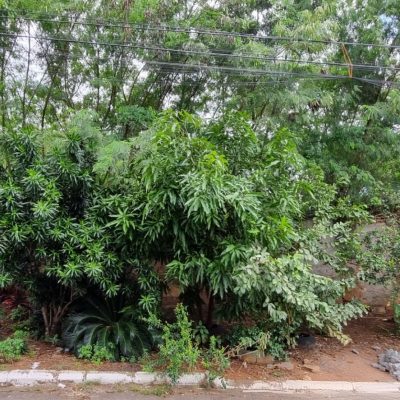 hoKJhsHaNwUsvobCjCSzeMT9Bg0Tn5l-TCBEuvc9lUZ3yiU6LSj1Y5Fqy6dkf5JE4AbyL1K3vtpdFZHDpAU-APZBVW8yvsLQf1Enuqi9BG_lA7c-w1920-h1080.jpeg